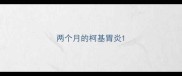 两个月的柯基胃炎