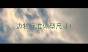边牧标准体型尺寸
