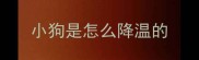 小狗是怎么降温的