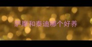 萨摩和泰迪哪个好养