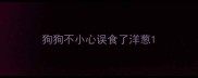 狗狗不小心误食了洋葱