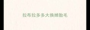拉布拉多多大换掉胎毛
