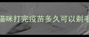 猫咪打完疫苗多久可以剃毛
