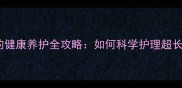 长脚拉布拉多的健康养护全攻略如何科学护理超长脚的运动健将