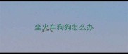 坐火车狗狗怎么办