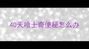 40天哈士奇便秘怎么办