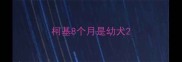 柯基8个月是幼犬