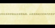 幼犬拉布拉多科学驱虫全流程指南从疫苗到成犬的体内外防护方案