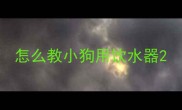 怎么教小狗用饮水器