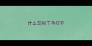 什么宠物干净好养