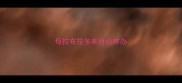 母拉布拉多来月经咋办