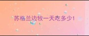 苏格兰边牧一天吃多少