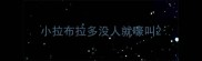 小拉布拉多没人就嚎叫
