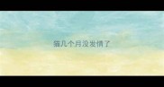 猫几个月没发情了