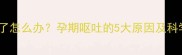 怀孕狗狗吐了怎么办孕期呕吐的5大原因及科学应对指南