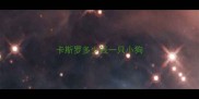 卡斯罗多少钱一只小狗