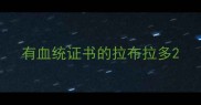 有血统证书的拉布拉多
