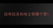 拉布拉多和哈士奇哪个贵