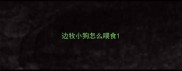 边牧小狗怎么喂食
