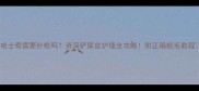 哈士奇需要针梳吗资深铲屎官护理全攻略附正确梳毛教程