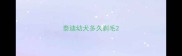 泰迪幼犬多久剃毛