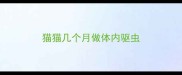 猫猫几个月做体内驱虫