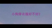 小狗穿衣服好不好