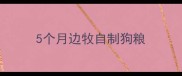 5个月边牧自制狗粮