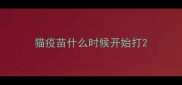 猫疫苗什么时候开始打