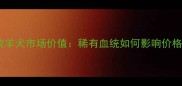 香槟色边境牧羊犬市场价值稀有血统如何影响价格与养护要点