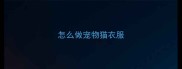 怎么做宠物猫衣服