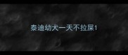 泰迪幼犬一天不拉屎
