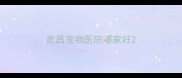 武昌宠物医院哪家好