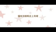 猫咪泪痕眼皮上有硬