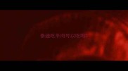 泰迪吃羊肉可以吃吗