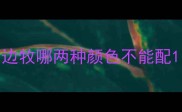 边牧哪两种颜色不能配