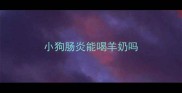 小狗肠炎能喝羊奶吗