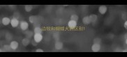 边牧和蝴蝶犬的区别