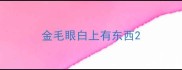 金毛眼白上有东西