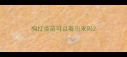 狗打疫苗可以看出来吗