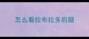 怎么看拉布拉多后腿