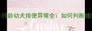新手必看0-1月龄幼犬排便异常全如何判断健康与应对措施