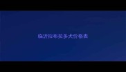 临沂拉布拉多犬价格表
