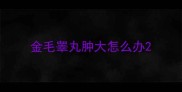 金毛睾丸肿大怎么办