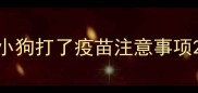 小狗打了疫苗注意事项