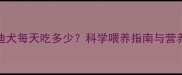 6个月泰迪犬每天吃多少科学喂养指南与营养配比全