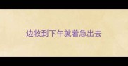 边牧到下午就着急出去