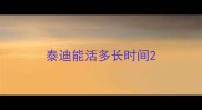 泰迪能活多长时间