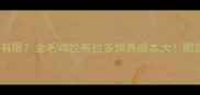 养狗预算有限金毛VS拉布拉多饲养成本大附选狗指南