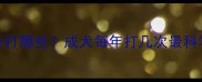 狗狗疫苗全攻略3月龄前必打哪些成犬每年打几次最科学附疫苗类型与接种禁忌